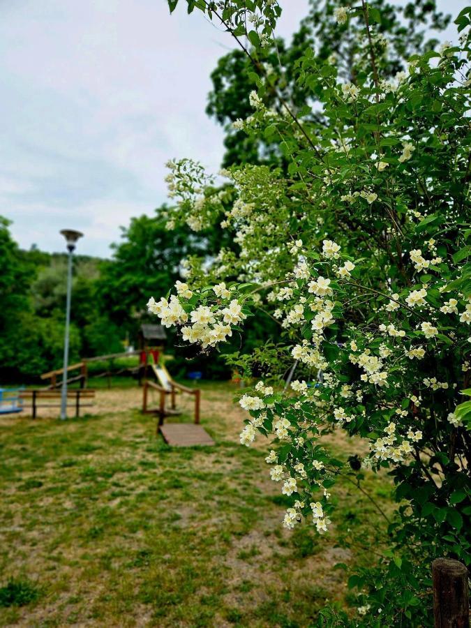 Smoldzinskie Zacisze สโมลด์จิโน ภายนอก รูปภาพ
